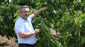 Bayraktar, Eskişehir'de Kiraz Bahçelerini İnceledi