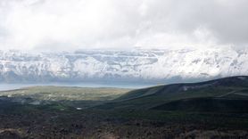 Bitlis'te Sahipsiz Hayvanlar İçin Denetim Toplantısı
