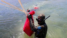 Bodrum'da Deniz Dibi Temizliği Etkinliği Gerçekleşti