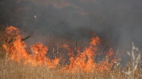 Bodrum'daki Otluk Alan Yangını Kontrol Altına Alındı