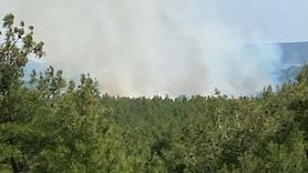 Çanakkale'de Orman Yangını Kontrol Altına Alındı