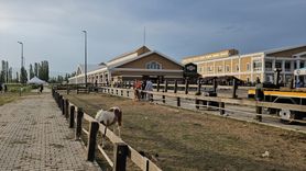 Çorum'da Uluslararası Atlı Dayanıklılık Yarışması Yapıldı