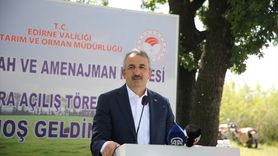 Edirne'de 200 Bin Dekar Mera Alanı Islah Edildi