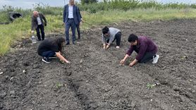 Edirne'de Çiftçilere Karpuz Fidesi Dağıtımı Yapıldı