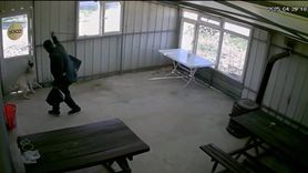 Edirne'de Köpeğe İşkence Eden Şüpheli Serbest Bırakıldı