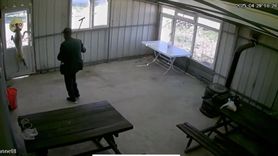 Edirne'de Köpek Dövme Skandalı