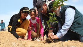 İHH, Yetimler İçin 160 Bin Fidan Dikti