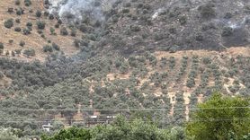 İzmir'de Zeytinlik Alanda Yangın Kontrol Altında