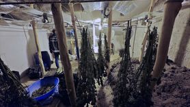 Karaman'da Uyuşturucu Operasyonu: 1 Tutuklama