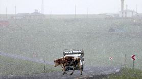Kars Kırsalında Kar Yağışı Besicileri Zor Durumda Bıraktı