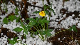 Kars'ta Dolu ve Sağanak Yağış Etkili Oldu