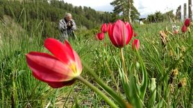 Kars'taki Eko Turizm Alanında Yoğunluk