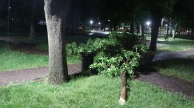 Kayseri'de Yıldırım Düşmesi: Apartmanda Hasar Oluştu