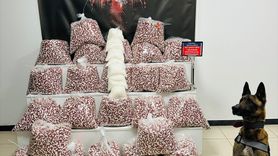 Kocaeli'de Uyuşturucu Operasyonu: 1 Tutuklama