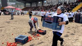 Kumluca'da Kadınların Mücadelesi: Tarım ve Seracılık Festivali