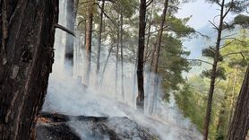 Kumluca'daki Orman Yangını Kontrol Altına Alındı