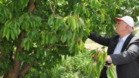 Kütahya'da Tarım Zorlukları ve Genç Nüfusun Düşüşü