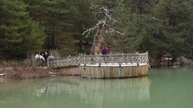 Limni Gölü Tabiat Parkı'nda Turizm Sezonu Heyecanı