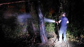 Manavgat'ta Orman Yangını Kontrol Altına Alındı