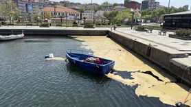 Marmara Denizi'nde Müsilaj Sorunu Bandırma'da Görüldü