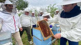 Ordu'da Uluslararası Arıcılık Eğitimi Düzenlendi