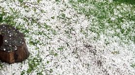 Posof'ta Dolu ve Sağanak Yağışı