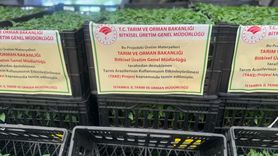 Silivri'de Tarım Projesi: 1153 Çiftçiye Fide Dağıtıldı