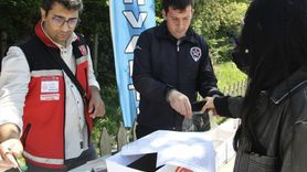 Sinop'ta Cep Telefonsuz Aile Pikniği Düzenlendi