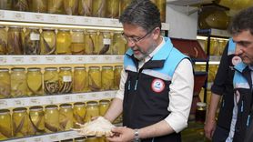 Tarım ve Orman Bakanı Yumaklı, Balıkçı Barınağında Destek Müjdeleri Verdi