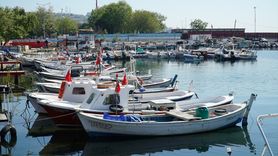 Tekirdağ Balıkçıları İstavrit İçin Denize Açıldı