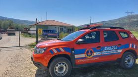 Tomruk Devrilmesi Sonucu İşçi Hayatını Kaybetti