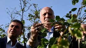 TZOB Genel Başkanı Bayraktar Düzce'de Çiftçilerle Buluştu