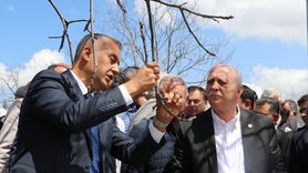 TZOB Genel Başkanı Bayraktar, Gaziantep ve Kahramanmaraş'ta Zirai Donu İnceledi