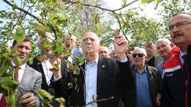 TZOB Genel Başkanı Bayraktar, Sakarya'da Çiftçilerle Bir Araya Geldi