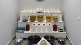 Yalova'da Uyuşturucu Operasyonu: 6 Tutuklama