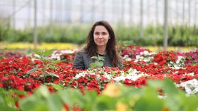 Yeni Nesil Çiftçiler: 30 Gün Dayanan Yenilebilir Menekşeler