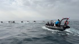 Zıpkınla Balık Avı Türkiye Şampiyonası Tamamlandı