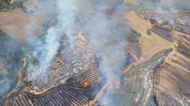 Adana'da Tarladan Ormana Yangın: İki Şüpheli Gözaltında