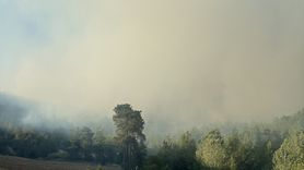 Adana'nın Kozan İlçesinde Orman Yangını Çıktı