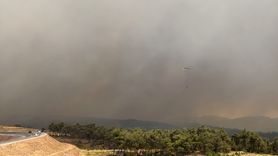 Akhisar'da Orman Yangını: İki Mahalle Tahliye Edildi