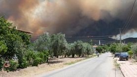 Akhisar'da Orman Yangını: Müdahale Devam Ediyor