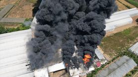 Antalya'da Fide Üretim Tesisinde Yangın Çıktı