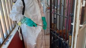 Antalya'da Temizlik Operasyonu: 8 Kamyon Çöp Çıkartıldı