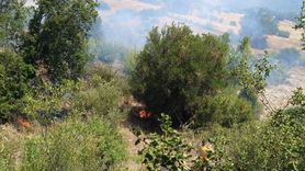 Antalya'daki Yangın Kontrol Altına Alındı