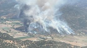 Aydın'da Zeytinlikte Yangın Kontrol Altında