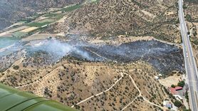 Aydın'da Zeytinlik Alanda Yangın Kontrol Altına Alındı