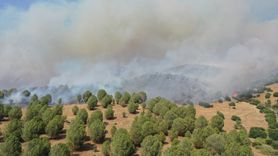 Aydın'daki Yangın: Hızla Yayılıyor, Mücadele Ediliyor