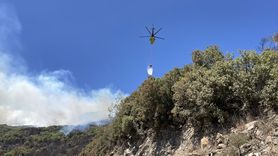 Aydın'da Ziraat Alanından Ormana Sıçrayan Yangın