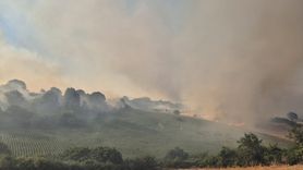 Balıkesir'de Arazide Yangın Kontrol Altına Alınıyor