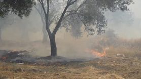 Balıkesir'de Çöplükteki Yangın Kontrol Altına Alındı